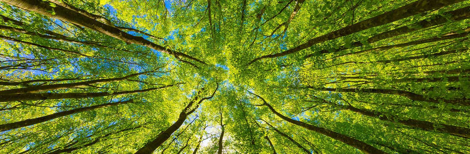 Zhejiang ZAKER Nueva Tecnología de Materiales Co., Ltd.