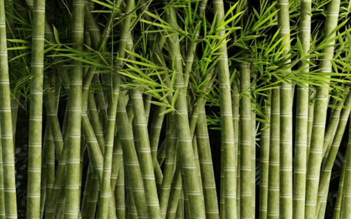 Zhejiang ZAKER Nueva Tecnología de Materiales Co., Ltd.